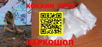 мдпв Кингисепп