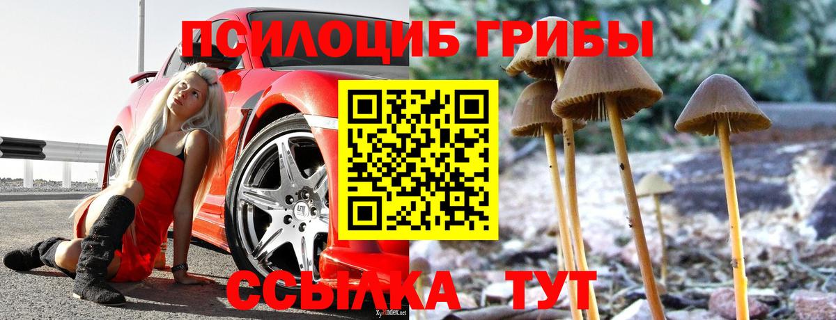 Псилоцибиновые грибы MAGIC MUSHROOMS Черняховск