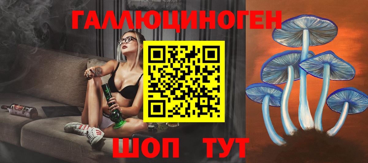 Псилоцибиновые грибы GOLDEN TEACHER  Вход с VPN  Черняховск  Галлюциногенные грибы прущие грибы 